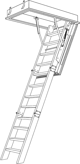 ladder