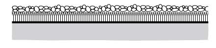 cross-section of gravel roof